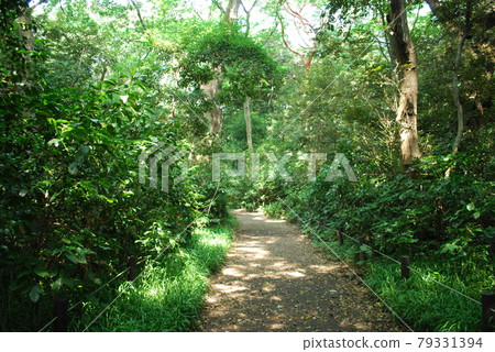 Earthworks at the Institute for Nature Study attached to the National Science Museum 79331394
