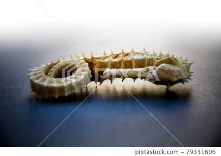 Dried seahorse on a black background Dried seahorse on a black background 79331606