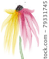 Yellow and red flowers drawn with alcohol ink 79331745