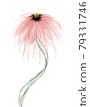 Pale pink flowers drawn with alcohol ink 79331746