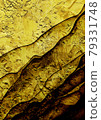 Gold rugged background material 79331748