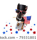 independence day 4th of july dog 79331801