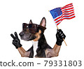 independence day 4th of july dog 79331803