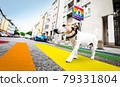 dog and owner  with leash crossing rainbow gay pride street 79331804