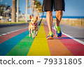gay pride dog rainbow street with owner walking 79331805