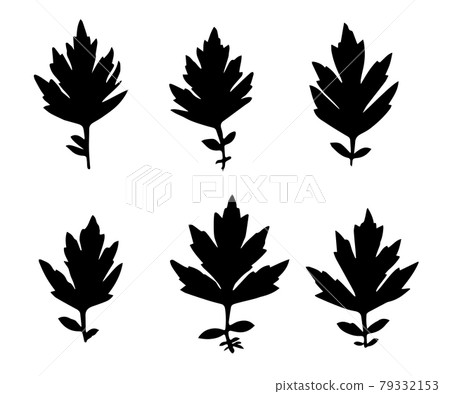 Black silhouettes of grass leaves isolated on white background. Autumn fallen field grass leaves. Stencil vector Black silhouettes of grass leaves isolated on white background. Autumn fallen field grass leaves. Stencil vector 79332153
