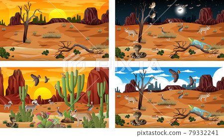 Different scenes with desert forest landscape with animals and plants Different scenes with desert forest landscape with animals and plants 79332241