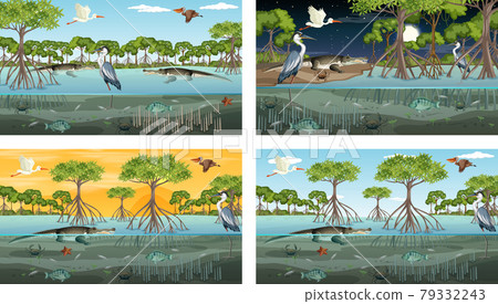 Different mangrove forest landscape scenes with various animals 79332243