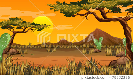 Desert forest landscape at sunset time scene 79332256