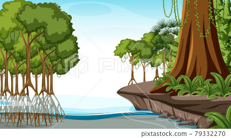 Nature scene with Mangrove forest at daytime in cartoon style 79332270