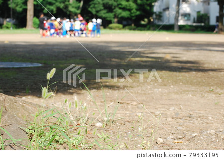 Park and kindergarten after the rain 79333195