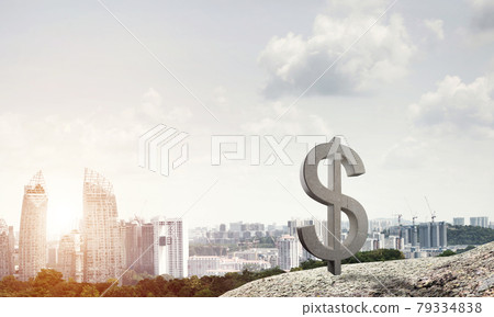 Money making and wealth concept presented by stone dollar symbol on natural landscape 79334838