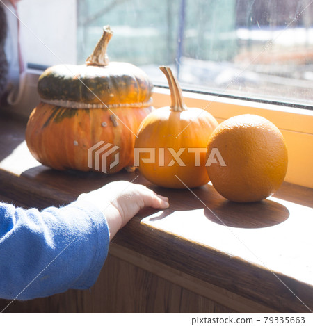 a child plays with a pumpkin on the sill a child plays with a pumpkin on the sill 79335663