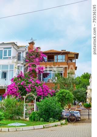 Decoration of a residential building with bright purple flowers 79336195