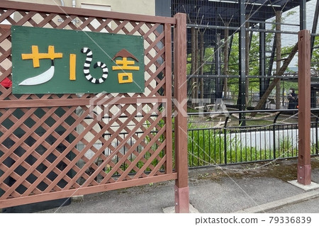 [北海道旭川市]旭山動物園的Sal Sha 79336839