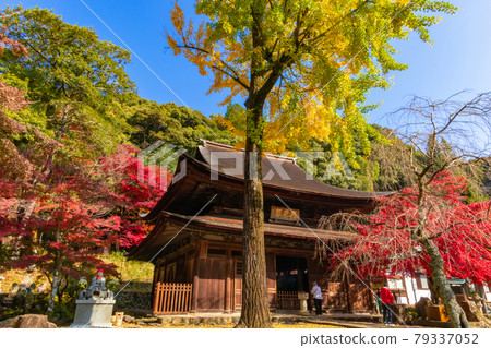 Autumn Jokoji Temple <Seto City, Aichi Prefecture> 79337052