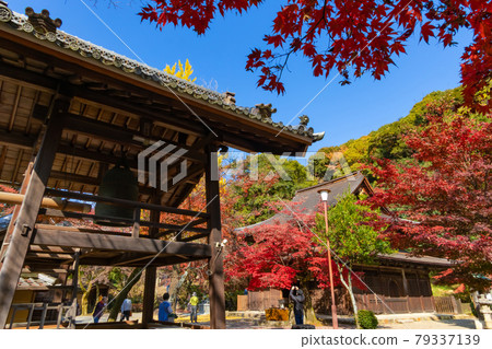 Autumn Jokoji Temple <Seto City, Aichi Prefecture> 79337139