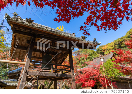 秋天的定光寺 <愛知縣瀨戶市> 79337140