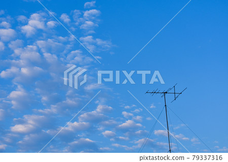 Altocumulus on a clear day, sheep cloud 2 Altocumulus on a clear day, sheep cloud 2 79337316