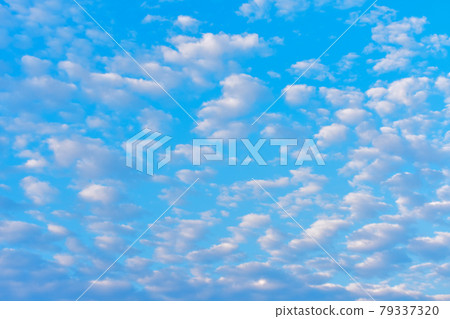 晴天的高積雲,綿羊雲 6 晴天的高積雲,綿羊雲 6 79337320
