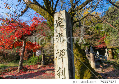 秋天的定光寺 <愛知縣瀨戶市> 秋天的定光寺 <愛知縣瀨戶市> 79337321
