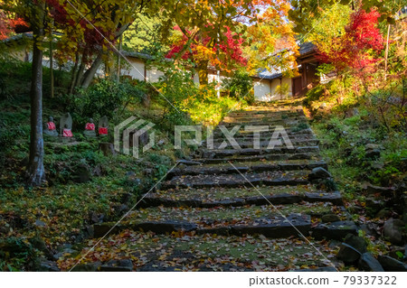 秋天的定光寺 <愛知縣瀨戶市> 秋天的定光寺 <愛知縣瀨戶市> 79337322