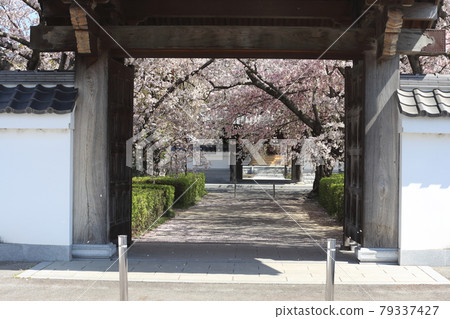 Okazaki / Gyofukuji Okazaki / Gyofukuji 79337427