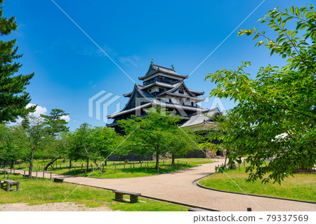 國寶松江城六月 79337569