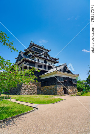 National treasure Matsue Castle June 79337575
