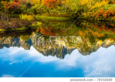 在北阿爾卑斯的未開發地區映照出水面的敦木山 79338089