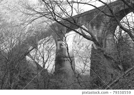 Megane Bridge [Usui No. 3 Bridge] 79338559