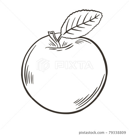 Freehand sketch of an apple, vector illustration. 79338809