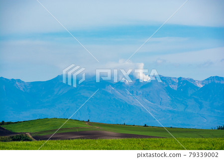 夏天的青山和十勝岳火山 79339002
