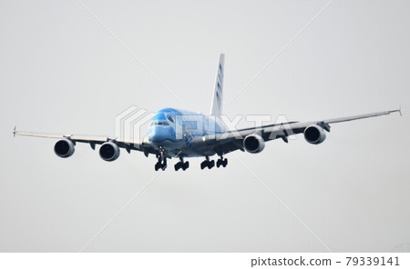 Airbus A380 (ANA FLYING HONU) 79339141