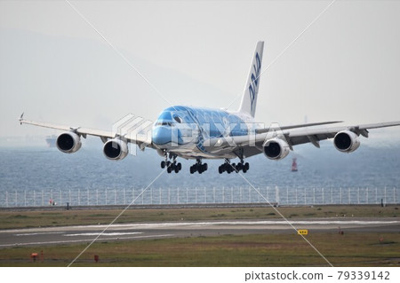 Airbus A380 (ANA FLYING HONU) Airbus A380 (ANA FLYING HONU) 79339142