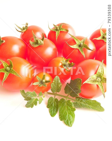 Tomato Tomato Tomato nuts and leaves Ripe tomatoes 79339388
