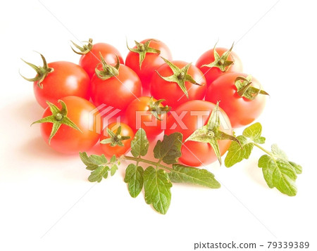 Tomato Tomato Tomato nuts and leaves Ripe tomatoes 79339389