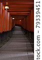 Fushimi Inari Torii in Kyoto 79339451
