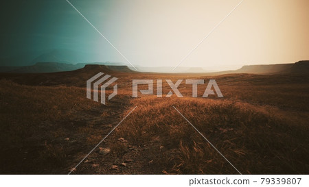 dry yellow grass on the rocky mountain with heavy fog dry yellow grass on the rocky mountain with heavy fog 79339807