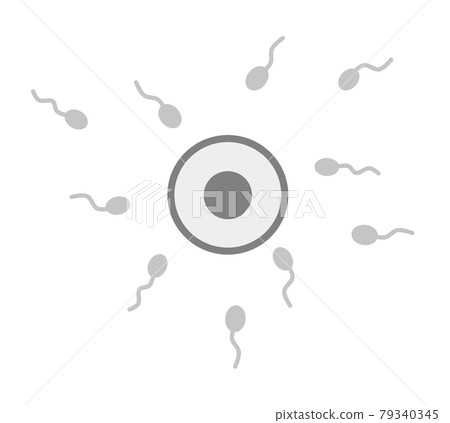 Fertilization illustration of egg and sperm 79340345