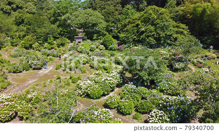 天平山歷史自然公園繡球園的無人機鳥瞰圖 79340700