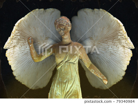 Fairy with mushroom wings 79340984
