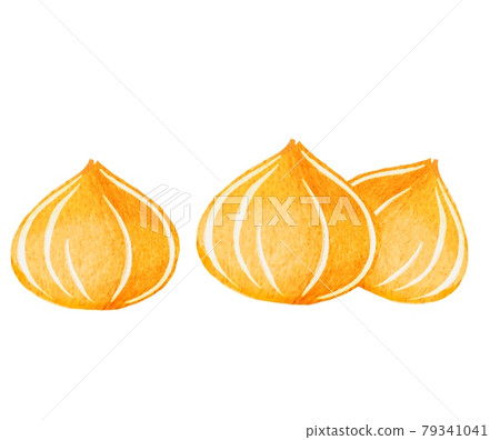 Organic vegetable onion illustrations and other variations Organic vegetable onion illustrations and other variations 79341041