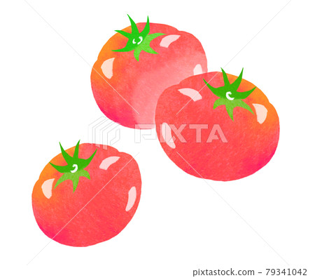 Organic vegetable tomato illustrations and other variations Organic vegetable tomato illustrations and other variations 79341042