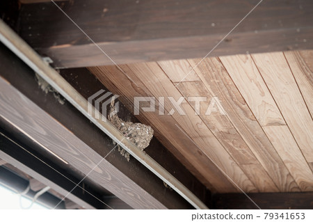 閣樓上的燕窩 79341653