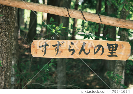 鹿兒島伊佐市鈴蘭之裡的風景 79341654