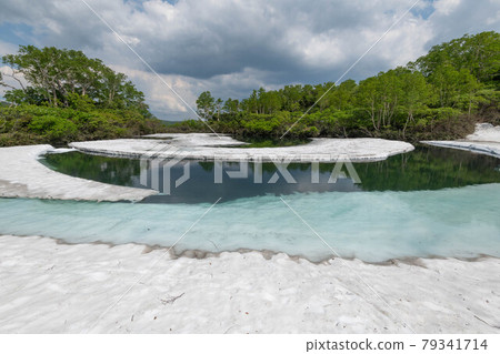 Shikibe swamp of fresh green and thaw 79341714
