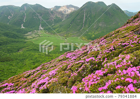 Miyama Kirishima and Mt. Nakadake, Mt. Hoshisho, Mt. 79341884