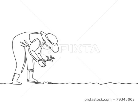 Continuous one line drawing young female farmer planting plant shoots in the ground. Start the planting period. Success farming minimalist concept. Single line draw design vector graphic illustration. Continuous one line drawing young female farmer planting plant shoots in the ground. Start the planting period. Success farming minimalist concept. Single line draw design vector graphic illustration. 79343002