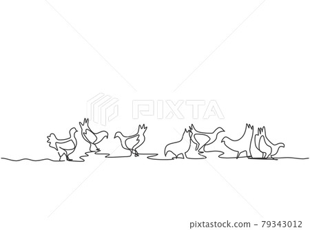 Single continuous line drawing of several chickens were playing in the fields while looking for food. Successful farming minimalism concept. Dynamic one line draw graphic design vector illustration Single continuous line drawing of several chickens were playing in the fields while looking for food. Successful farming minimalism concept. Dynamic one line draw graphic design vector illustration 79343012